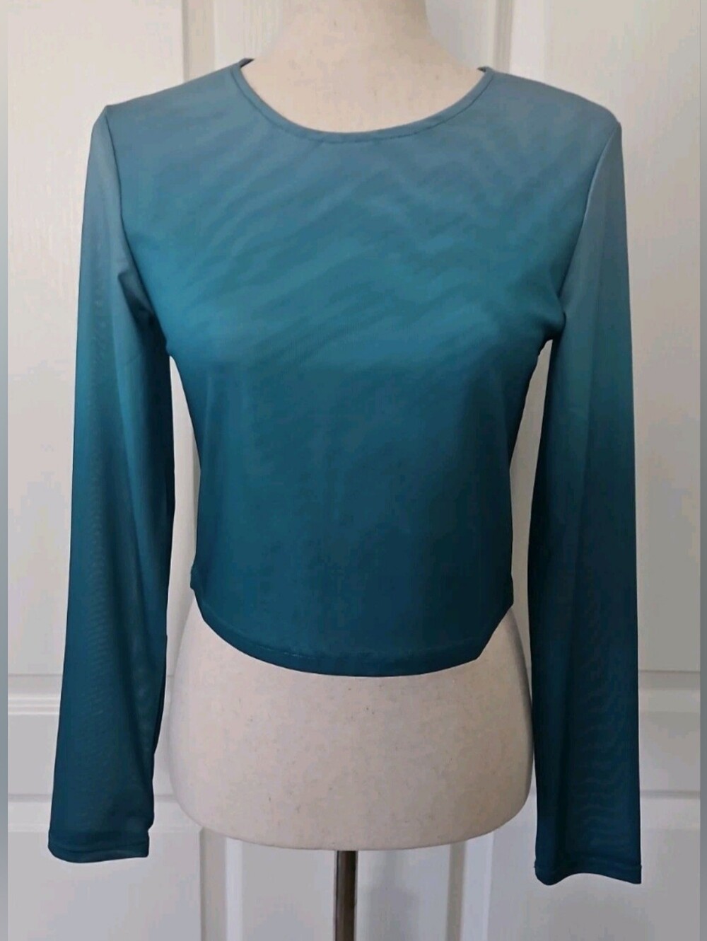 Express Teal Mesh Long Sleeve Crop Top NWT S